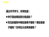 人教版七年级生物上册--3.1.2种子植物 课件