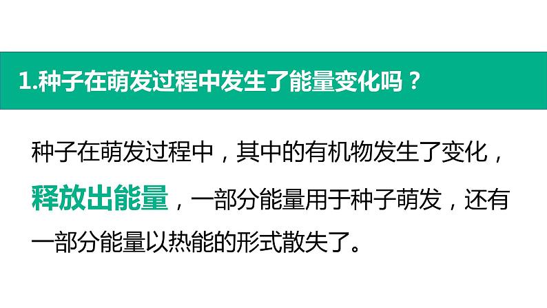 人教版七年级生物上册--第二节 绿色植物的呼吸作用课件PPT第6页