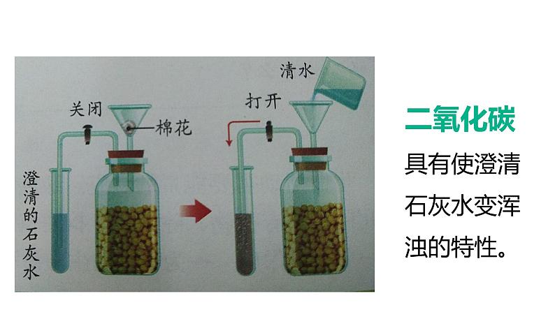 人教版七年级生物上册--第二节 绿色植物的呼吸作用课件PPT第8页