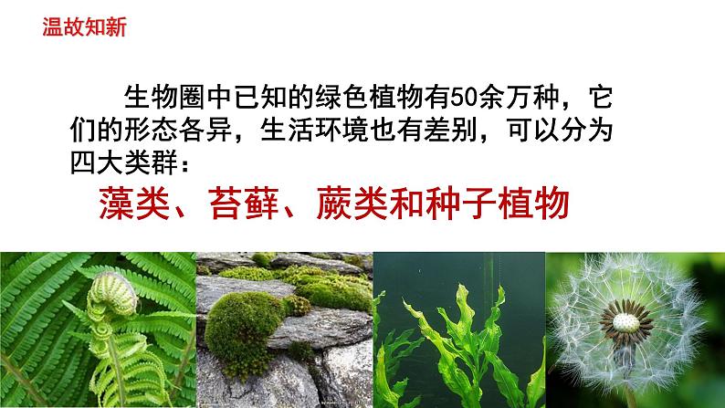 人教版七年级生物上册--3.1.2 种子植物课件PPT01