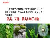 人教版七年级生物上册--3.1.2 种子植物课件PPT