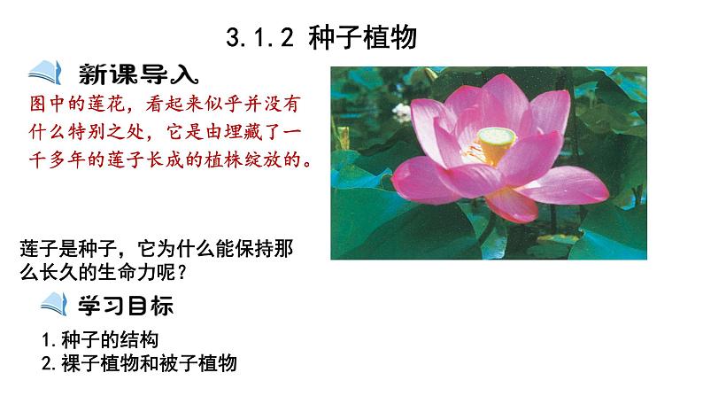 人教版七年级生物上册--3.1.2 种子植物课件PPT03