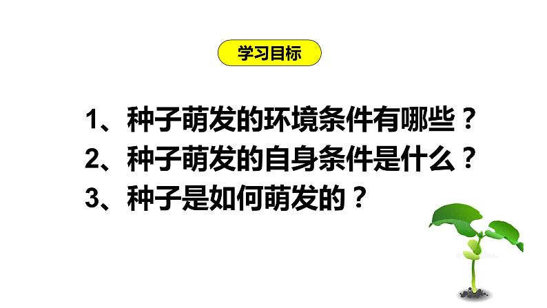 3.2.1 种子的萌发 课件（共45张PPT）第2页