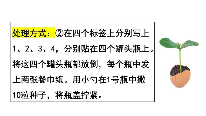 3.2.1 种子的萌发 课件（共45张PPT）第8页