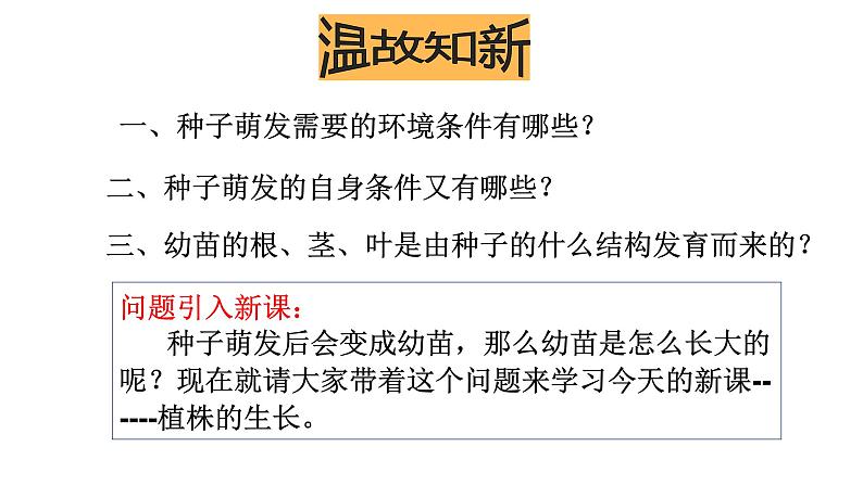 人教版七年级生物上册--3.2.2 植株的生长课件第2页