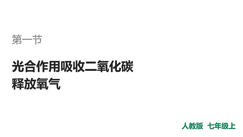 人教版七年级生物上册--第一节 光合作用吸收二氧化碳释放氧气课件PPT第3页