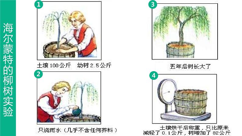 人教版七年级生物上册--第一节 光合作用吸收二氧化碳释放氧气课件PPT第4页