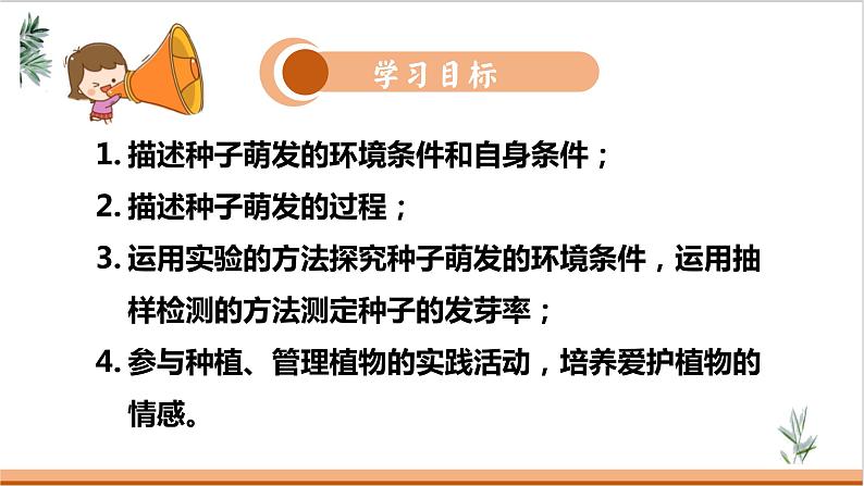 人教版七年级生物上册--3.2.1种子的萌发课件PPT第5页