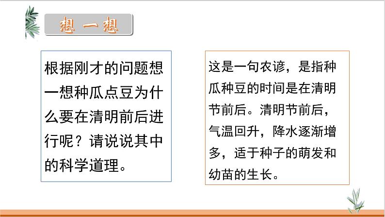 人教版七年级生物上册--3.2.1种子的萌发课件PPT第8页