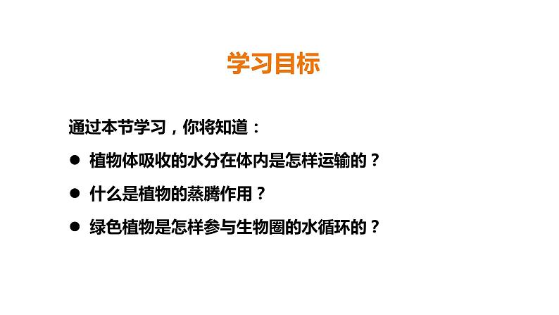 人教版七年级生物上册--3.3绿色植物与生物圈的水循环课件+ 视频素材（共2段）02
