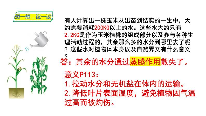 人教版七年级生物上册--3.3绿色植物与生物圈的水循环课件+ 视频素材（共2段）03