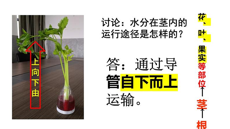 人教版七年级生物上册--3.3绿色植物与生物圈的水循环课件+ 视频素材（共2段）08