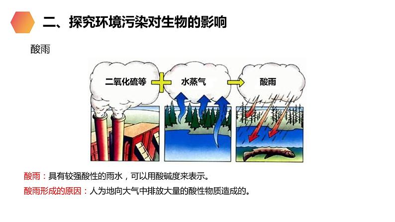 《探究环境污染对生物的影响》人教版生物七年级初一下册PPT课件第3页