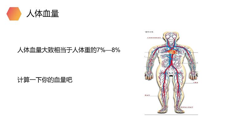 《输血与血型》人教版生物七年级初一下册PPT课件第3页