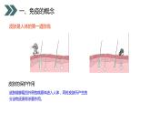 《免疫与计划免疫》人教版初中生物八年级初二下册PPT课件