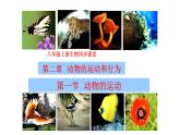 人教版八年级上册生物---5.2.1动物的运动课件（共39张PPT）