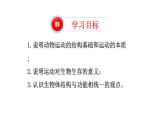 人教版八年级上册生物---5.2.1动物的运动课件（共39张PPT）