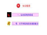 人教版八年级上册生物---5.2.1动物的运动课件（共39张PPT）