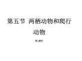人教版八年级上册生物---5.1.5两栖动物和爬行动物：第1课时（教学课件）