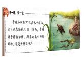 人教版八年级上册生物---5.1.5两栖动物和爬行动物：第1课时（教学课件）