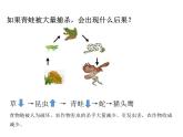 人教版八年级上册生物---5.3动物在生物圈中的作用（课件）