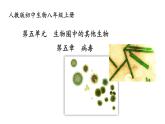 人教版八年级上册生物---第五章病毒课件