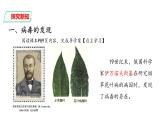 人教版八年级上册生物---第五章病毒课件