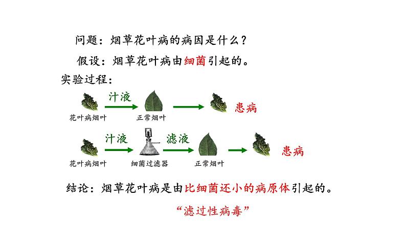 人教版八年级上册生物---第五章病毒课件04