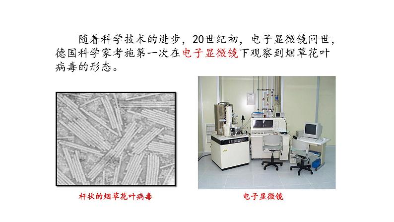 人教版八年级上册生物---第五章病毒课件06