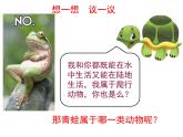 人教版八年级上册生物---5.1.5两栖动物和爬行动物课件