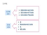 人教版八年级上册生物---5.1.1腔肠动物和扁形动物课件（共39张PPT）（内含嵌入视频）