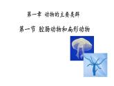 人教版八年级上册生物---5.1.1腔肠动物和扁形动物课件（共39张PPT）（内含嵌入视频）