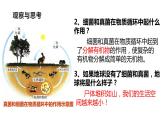 细菌和真菌在自然界中的作用PPT课件免费下载