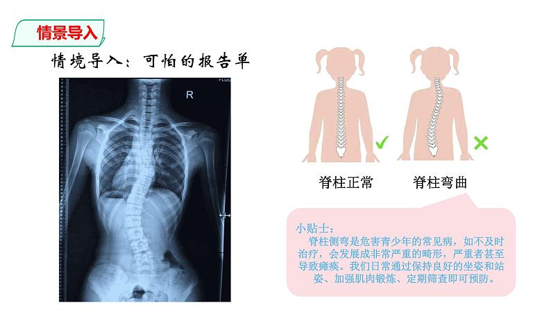 鱼PPT课件免费下载03