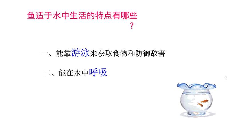鱼PPT课件免费下载08
