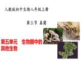 人教版八年级上册生物---5.4.3真菌课件