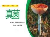 人教版八年级上册生物---5.4.3真菌课件 (2)