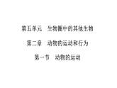 人教版八年级上册生物---5.2.1动物的运动课件