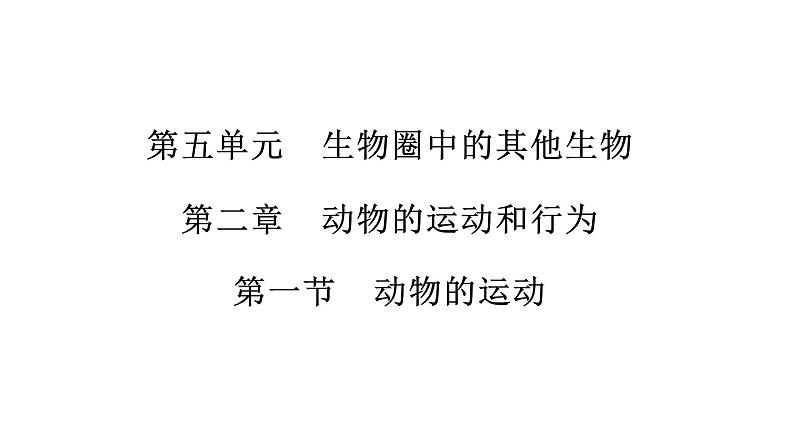 人教版八年级上册生物---5.2.1动物的运动课件02