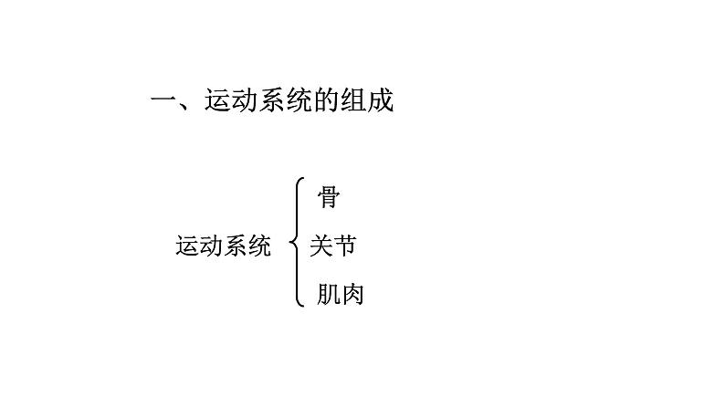 人教版八年级上册生物---5.2.1动物的运动课件05