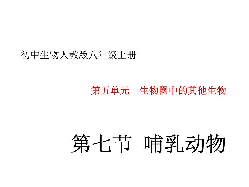 人教版八年级上册生物---5.1.7哺乳动物（课件）第1页