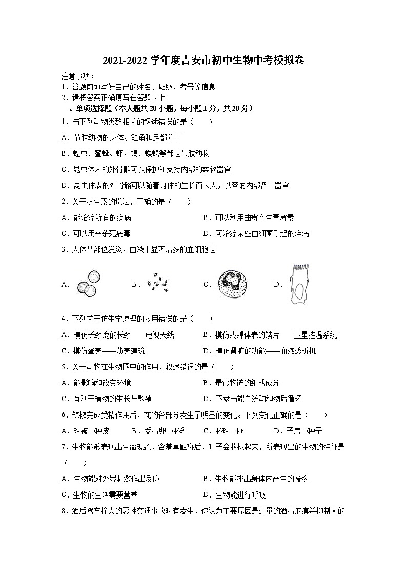 2021-2022学年度吉安市初中生物中考模拟卷01