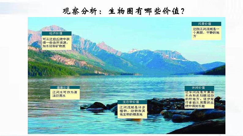 济南版生物七年级下册 第三单元 第七章 第二节 保护我们的家园 课件07