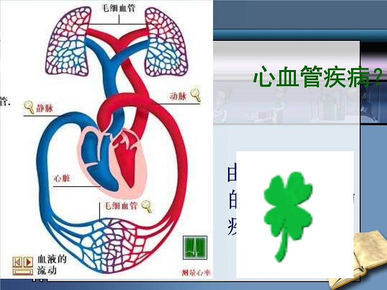 济南版生物七年级下册 第三单元 第三章 第四节 关注心血管健康 课件06