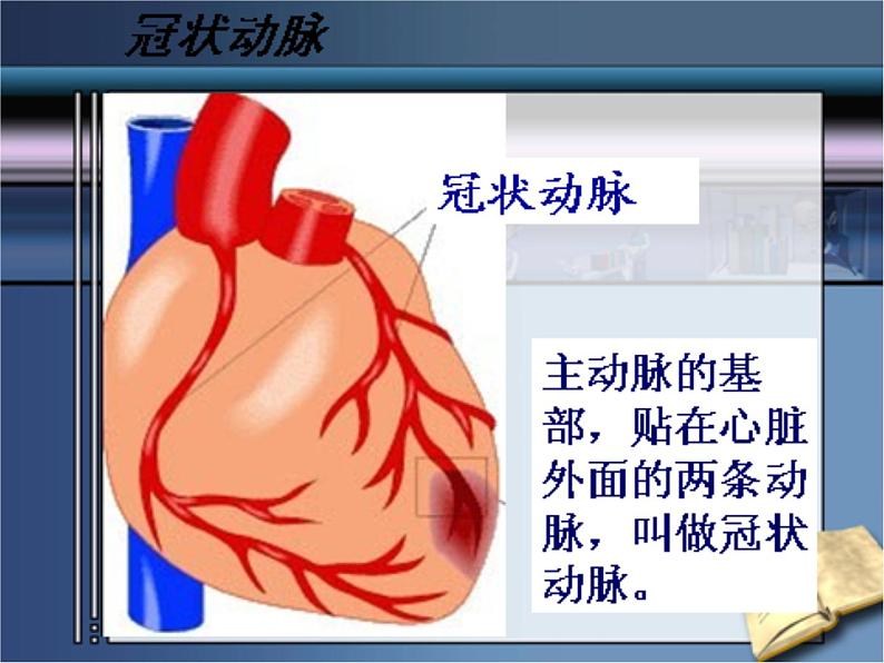 济南版生物七年级下册 第三单元 第三章 第四节 关注心血管健康 课件08