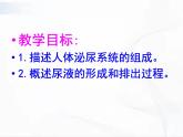 济南版生物七年级下册 第三单元 第四章 第一节 尿液的形成和排出 课件