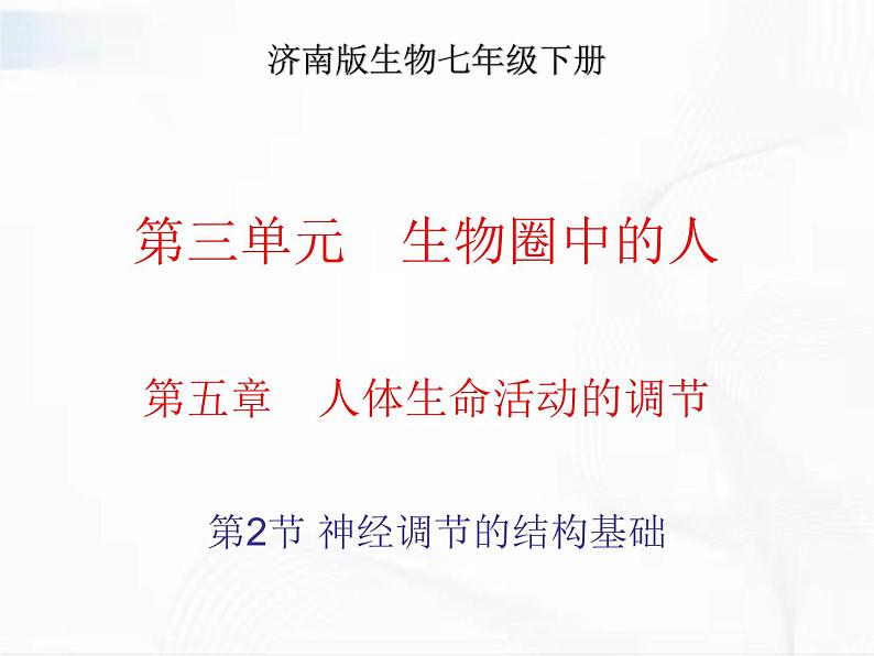 济南版生物七年级下册 第三单元 第五章 第二节 神经调节的结构基础 课件01