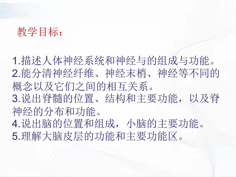 济南版生物七年级下册 第三单元 第五章 第二节 神经调节的结构基础 课件02