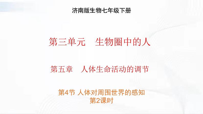 济南版生物七年级下册 第三单元 第五章 第四节 人体对周围世界的感知 第2课时 课件01