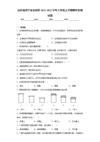 山东省济宁市兖州区2021-2022学年七年级上学期期中生物试题(word版含答案)